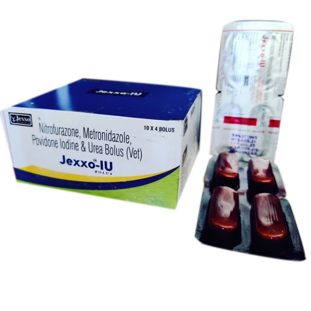 JEXXO IU BOLUS