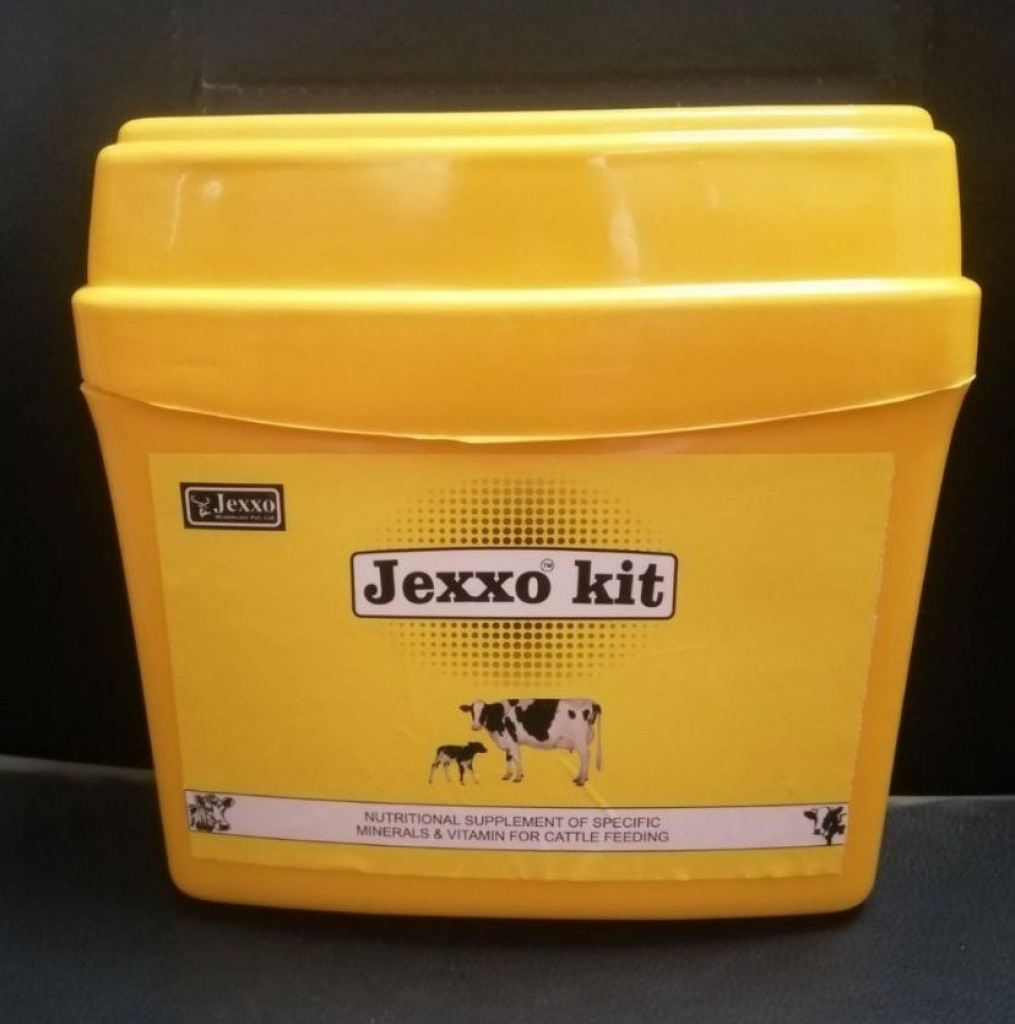 JEXXO KIT 1  KG.