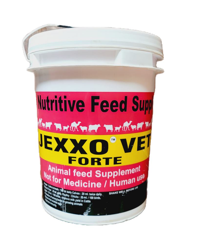 JEXXO VET FORTE 10 LTR
