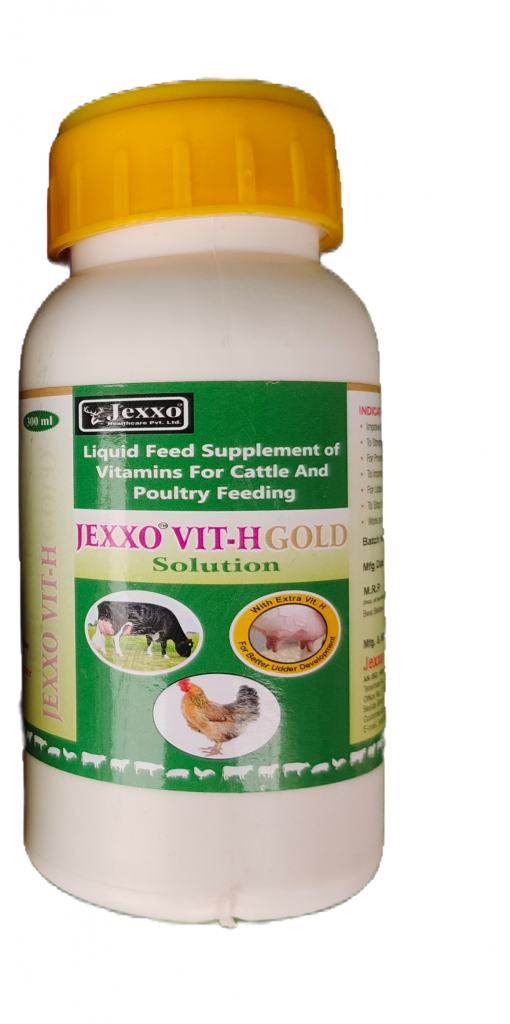 JEXXO VIT H GOLD  300 ML