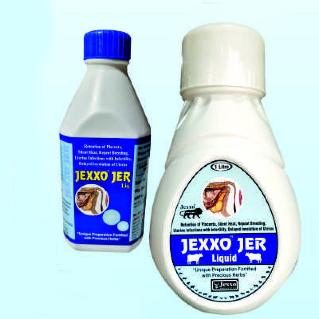 Jexxo Jer 1000 ML