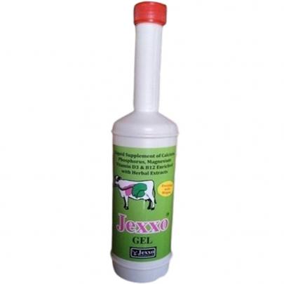 JEXXO GEL 300 ML