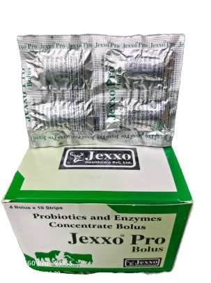 JEXXO PRO BOLUS 